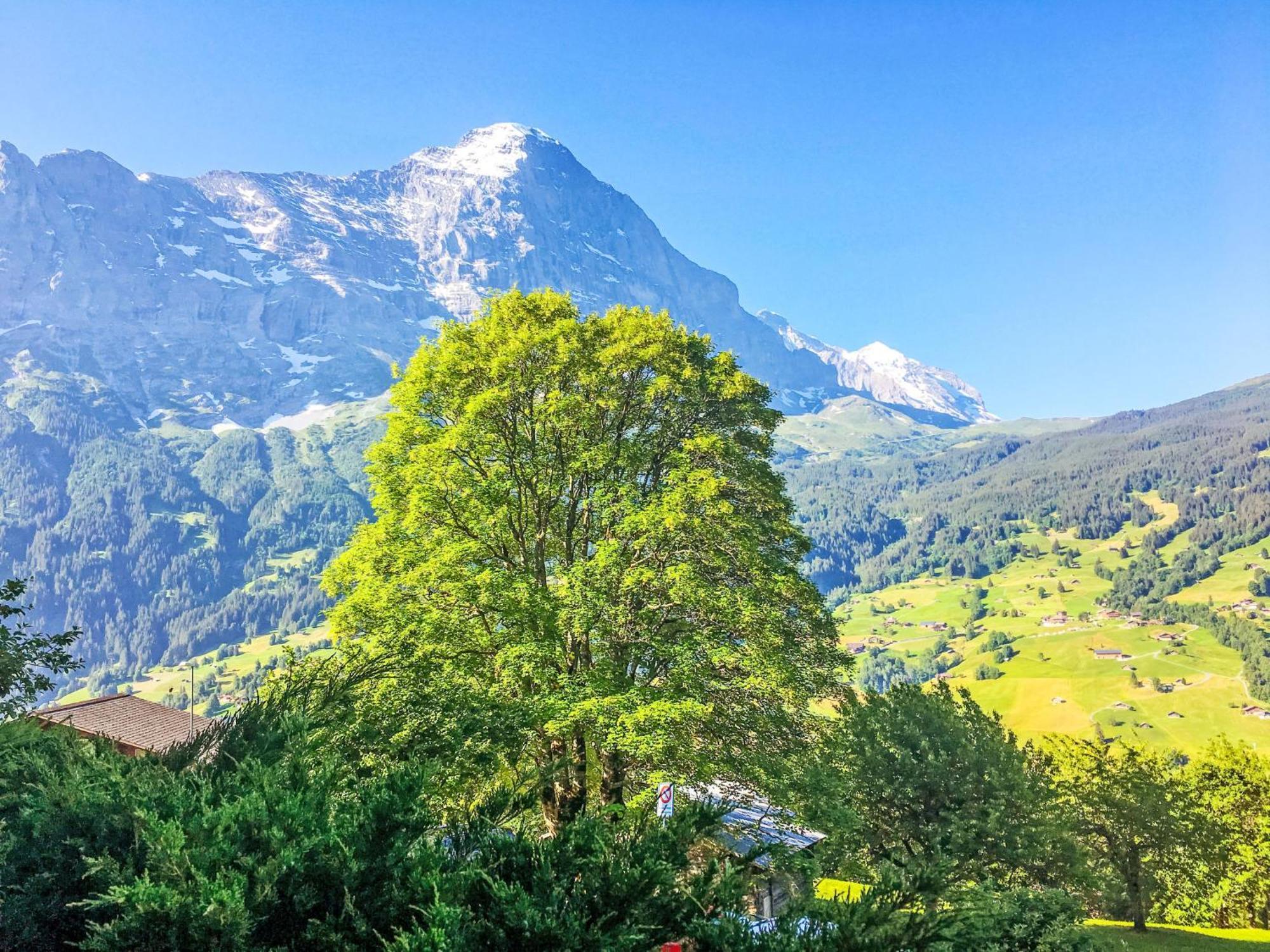 Hobelbank By Interhome * Grindelwald